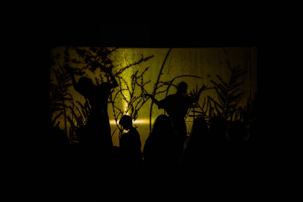 Hipnoidal performance