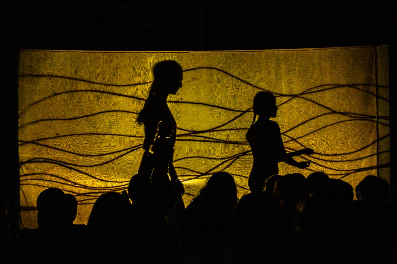 Hipnoidal performance